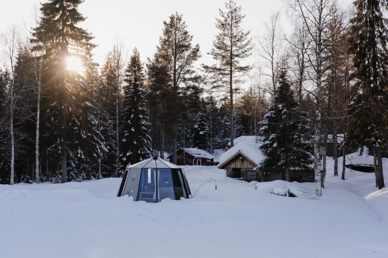 Ollero Eco Lodge Rovaniemi Extérieur photo