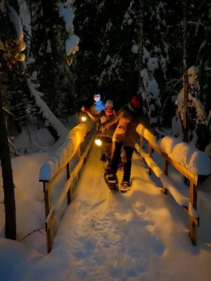 Ollero Eco Lodge Rovaniemi Extérieur photo