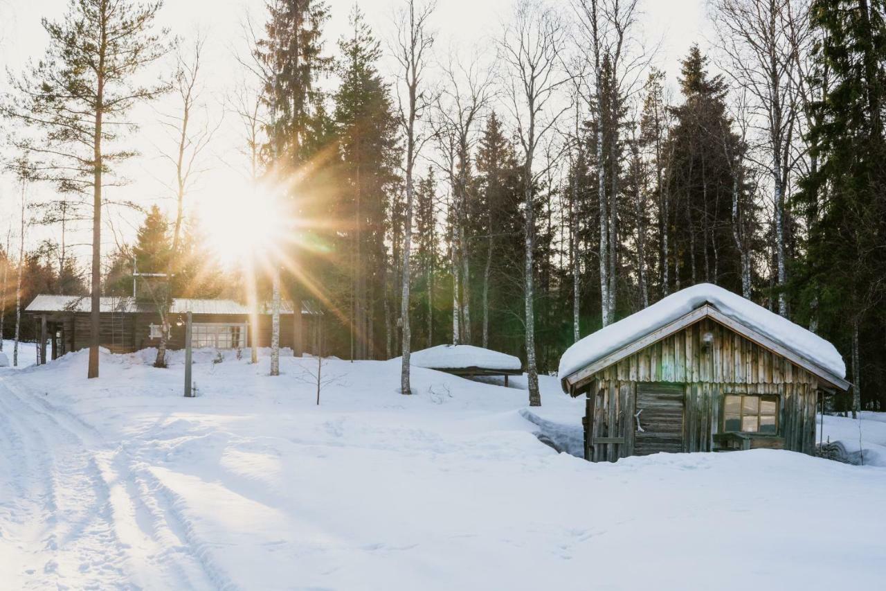 Ollero Eco Lodge Rovaniemi Extérieur photo
